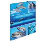 Chemise à élastiques 'delphine', en carton,