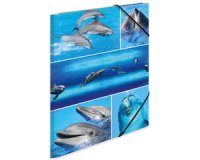 Chemise à élastiques 'delphine', en carton,