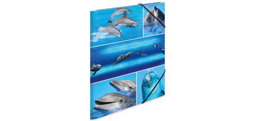 Chemise à élastiques 'delphine', en carton,