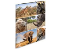 Chemise à élastiques 'animaux d'afrique', en carton,