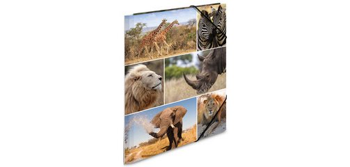 Chemise à élastiques 'animaux d'afrique', en carton,