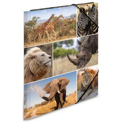 Map met elastieken 'Afrikaanse dieren' in karton