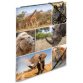 Map met elastieken 'Afrikaanse dieren' in karton