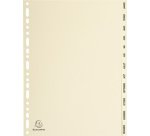 Intercalaires imprimés Carte peau 155g 12 positions de janvier à décembre - A4 - Ivoire