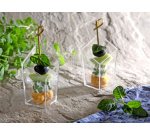 Pique apéritif 'Noeud', longueur: 60 mm