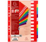 Intercalaires en plastique, uni, A4, 12 touches