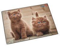 Sous-main 'chats fouineurs', 400 x 530 mm