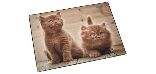 Sous-main 'chats fouineurs', 40 x 53 cm