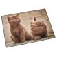 Sous-main 'chats fouineurs', 400 x 530 mm