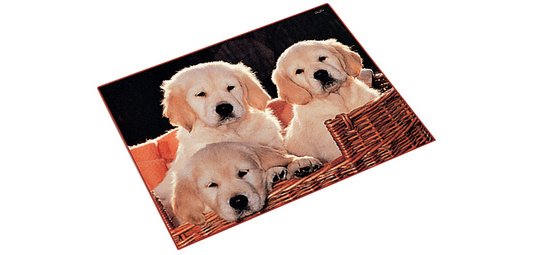 Sous-main chiens, 40 x 53 cm