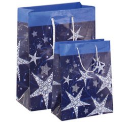 Geschenktas Kerstmis 'Shining Stars'