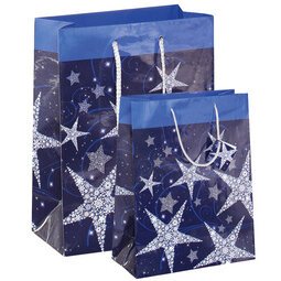 Geschenktas Kerstmis 'Shining Stars'