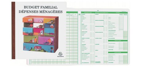 Piqûre de comptabilité et organisation familiale 27x25cm - Budget dépenses ménagères 56 pages - texte FR