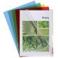 Etui carton de 100 pochettes coin PVC lisse haute résistance 13/100e - A4 - Vert