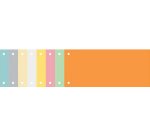 Paquet 100 fiches intercalaires horizontales unies perforées Forever - 105x240mm