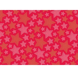 Papier cadeau de Noël 'étoiles'