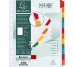 Intercalaire A4+ carte blanche Exacompta 12 onglets neutres multicolores - 1 jeu
