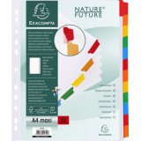 Divider A4+ 160g 12P White/ColouRed - White