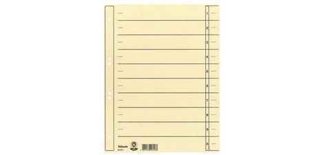 Intercalaires carton, A4 extra large, chamois