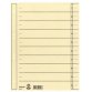 Kartonnen tabbladen, extrabreed A4-formaat, camel, 100 stuks