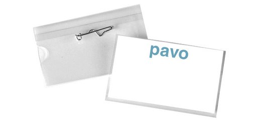 Porte-badge, avec aiguille, 40 x 60 mm, transparent