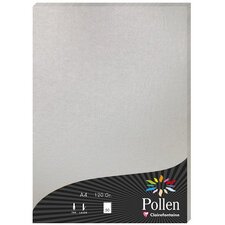 Feuille Pollen 210 x 297 mm 210 g/m2 Ivoire irisé - Etui de 25