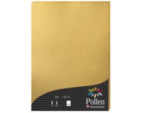 Pollen card 120g a4 x50 - silver