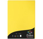 A4 Papier, Sonnenblumengelb