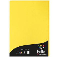 Pollen card 120g a4 x50 - sunshine yellow