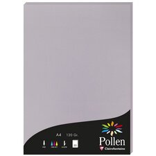 Pollen card 120g a4 x50 - koala grey