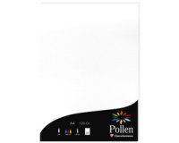 Pollenblatt 210 x 297 mm 210 g/m2 irisierendes Weiß - Packung mit 25 Stück.