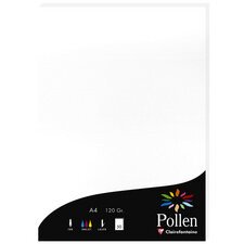 Feuille Pollen 210 x 297 mm 210 g/m2 Blanc irisé - Etui de 25