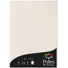 Pollen card 120g a4 x50 - pearl grey