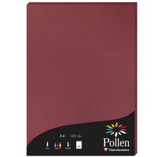Papier a4 pollen 120g 50 blatt - chamois