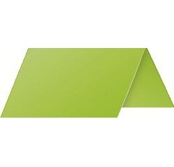 Plaatskaart 85 x 80 mm munt