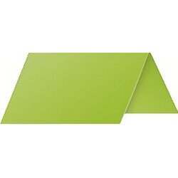 Marque-place 85 x 80 mm, menthe