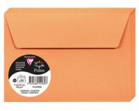 Pollen, packung mit 20 umschlägen c6, 120g - minze