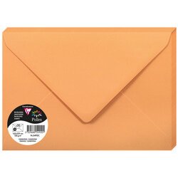 Pollen kraft envelopes /20s 162x229 - mint