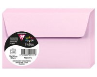 Pollen, packung mit 20 umschlägen 90x140 mm, 120g - minze