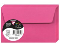 Pollen, packung mit 20 umschlägen 90x140 mm, 120g - johannisbeere