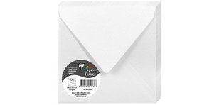Pollen, Packung mit 20 Umschlägen 140x140 mm, 120g