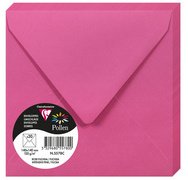 Pollen, packung mit 20 umschlägen 140x140 mm, 120g - johannisbeere