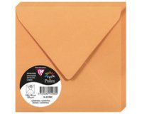 Pollen, packung mit 20 umschlägen 140x140 mm, 120g - chamois