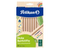 Kleurpotloden driehoekig Jumbo - etui van 12 stuks