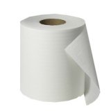 Fripa Rouleau d'essuie-mains, 2 couches, 175 m, blanc