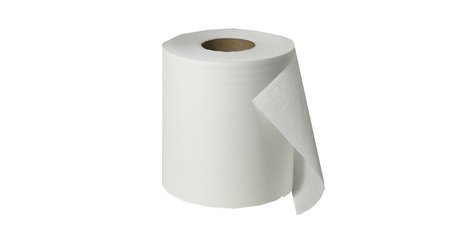Fripa Rouleau d'essuie-mains, 2 couches, 175 m, blanc
