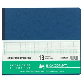 EXACOMPTA Piqûre 27x32cm Journal de caisse ou banque 13 débit - 6 crédit 31  lignes 80 pages