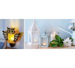 Lumière décorative LED, 10 pièces, 20 piles incluses