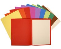 Pk 100 Sq. Folders Flash 220g Ast