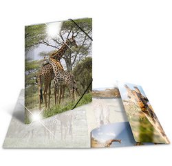 Chemise à élastiques 'girafe', PP Glossy, A4